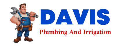 Trusted plumber in SHOSHONI